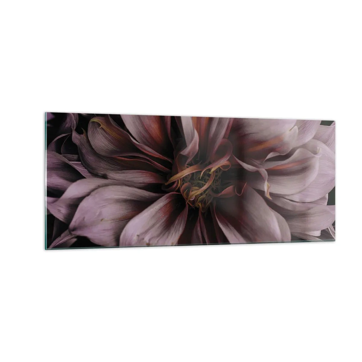 Glasbild - Bild auf glas - Ein Blumenherz - 100x40 cm