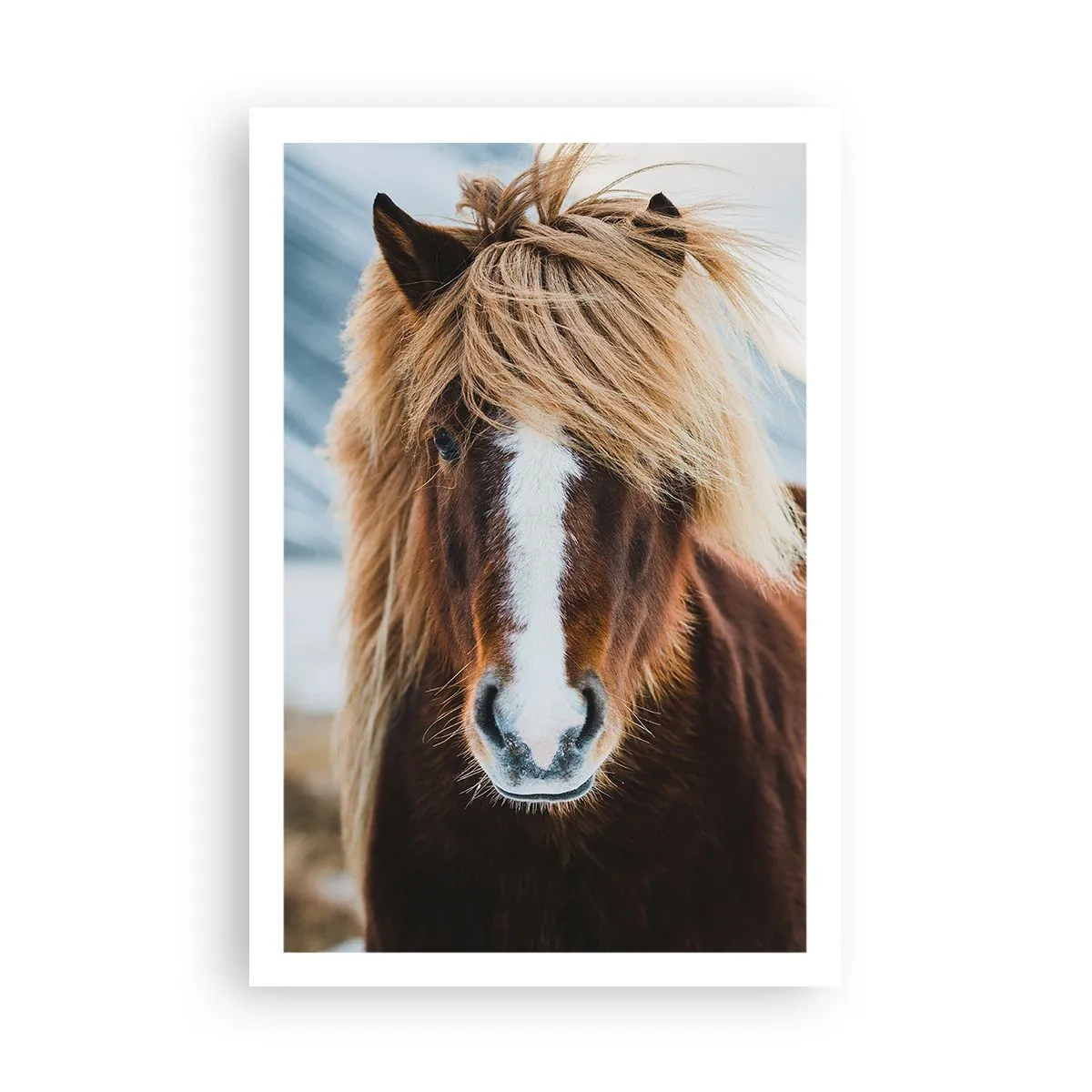 Poster - Spürst du die Freiheit? - 61x91 cm