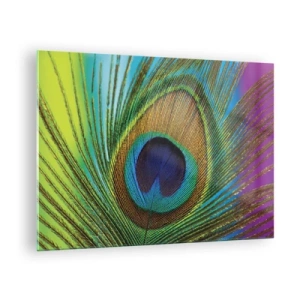 Glasbild - Bild auf glas - Eine Nahaufnahme einer bunten Pfauenfeder - 70x50cm - Auge in Auge - Moderne Wanddekoration für Wohnzimmer und Schlafzimmer ARTTOR