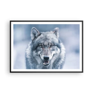 Poster in einem schwarzem Rahmen - Ein Wolf mit intensivem Blick in einer Winterlandschaft - 100x70cm - Werden Sie die Herausforderung annehmen? - Moderne Wanddekoration für Wohnzimmer und Schlafzimmer ARTTOR