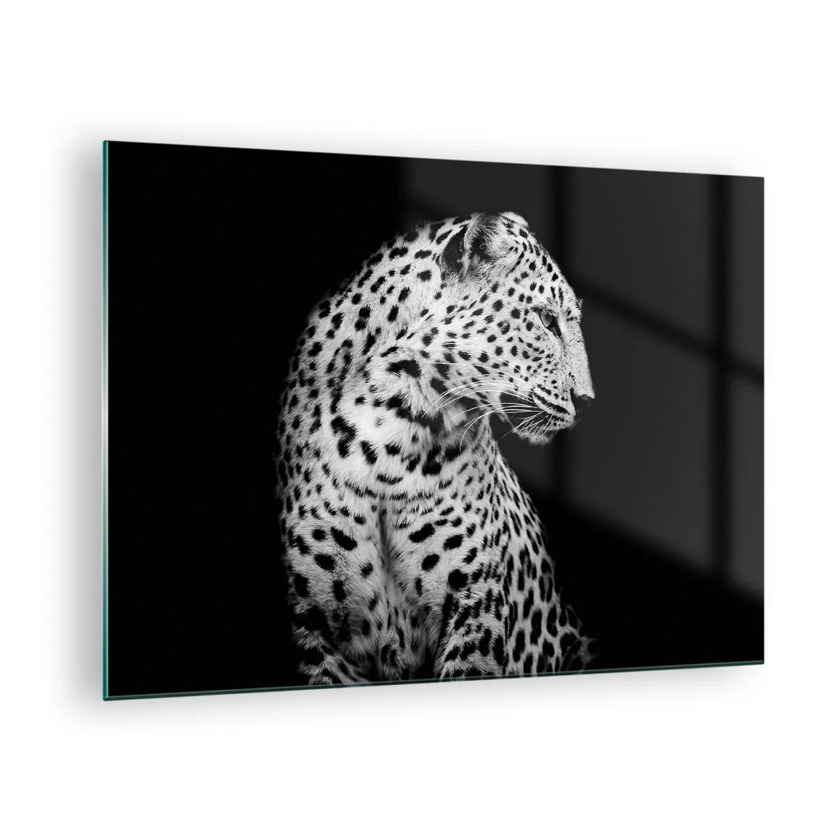 Glasbild - Bild auf glas - Ein Leopard in schwarz-weißem Licht vor einem Fenster - 70x50cm - Rechtes Profil perfekt! - Moderne Wanddekoration für Wohnzimmer und Schlafzimmer ARTTOR