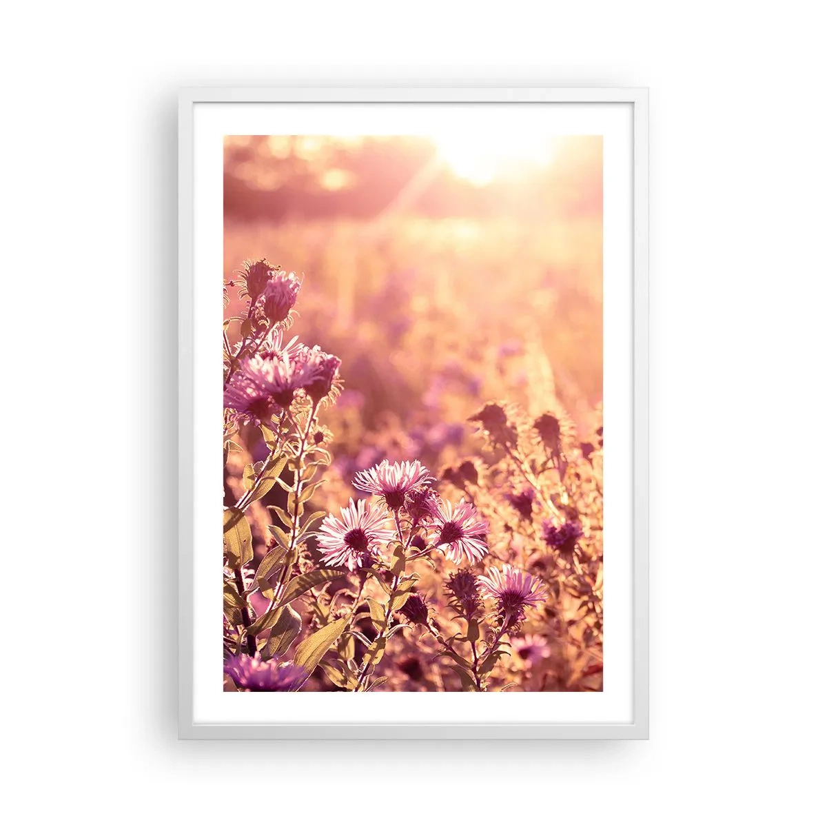 Poster in einem weißen Rahmen - Bevor der Sommer vorbei ist - 50x70 cm