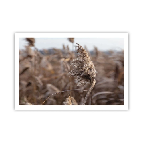 Poster - Zeit, mit dem Wind zu gehen - 91x61 cm