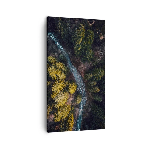Bild auf Leinwand - Leinwandbild - Schnell und immer schneller - 45x80 cm