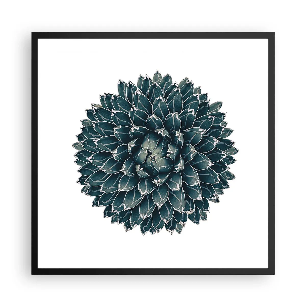 Poster in einem schwarzem Rahmen - Stern der Wüste - 60x60 cm