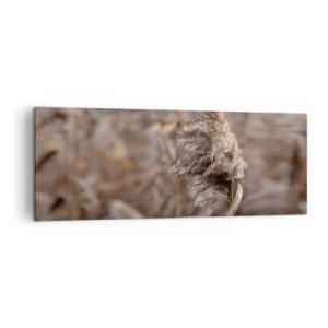 Bild auf Leinwand - Leinwandbild - Zarte Gräser in Beigetönen vor dem Hintergrund der Natur - 140x50cm - Zeit, mit dem Wind zu gehen - Moderne Wanddekoration für Wohnzimmer und Schlafzimmer ARTTOR