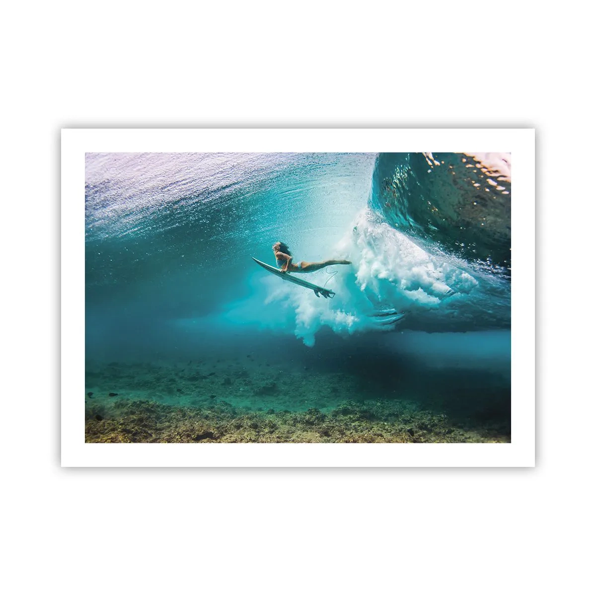 Poster - Unterwasserwelt - 70x50 cm