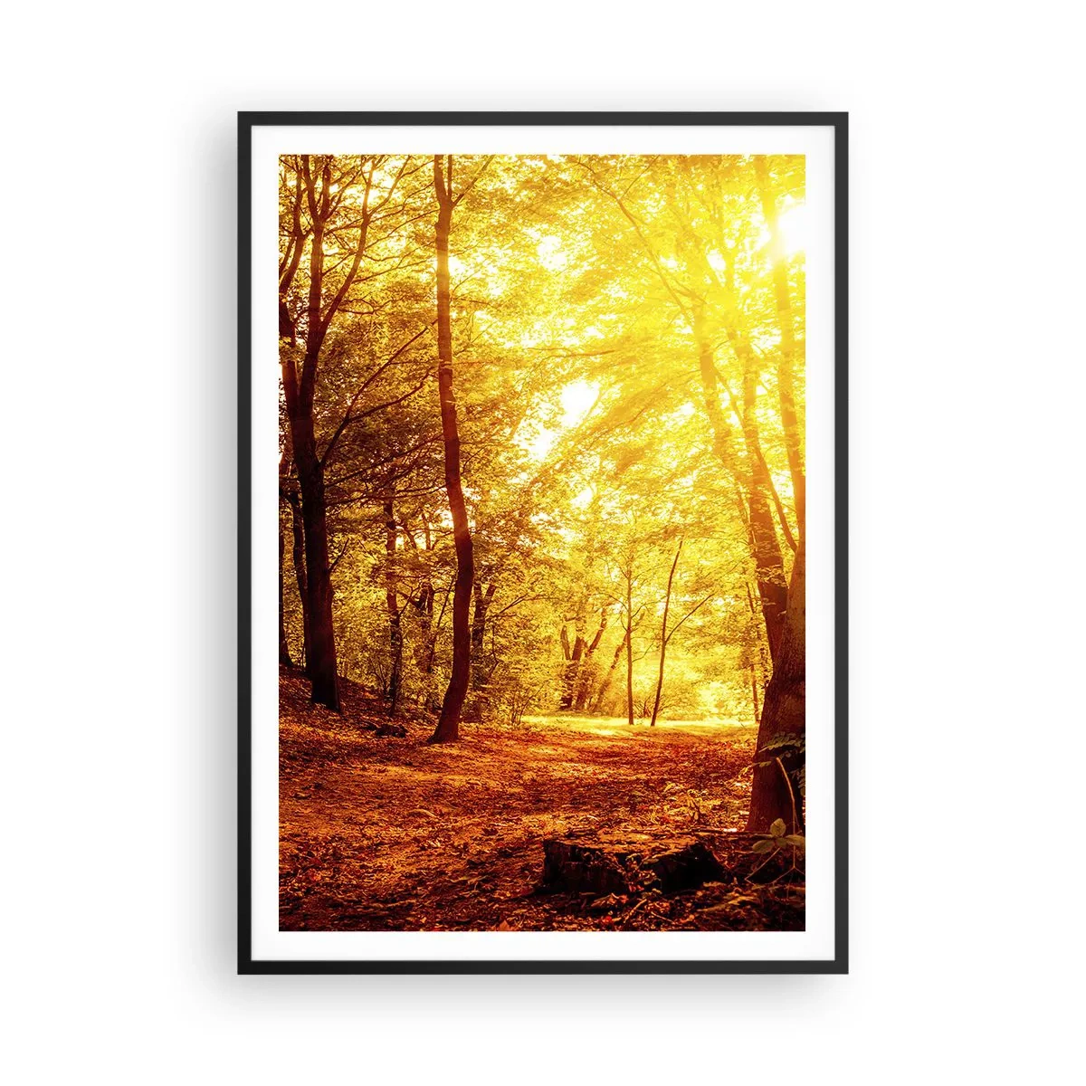 Poster in einem schwarzem Rahmen - Auf die goldene Lichtung - 70x100 cm
