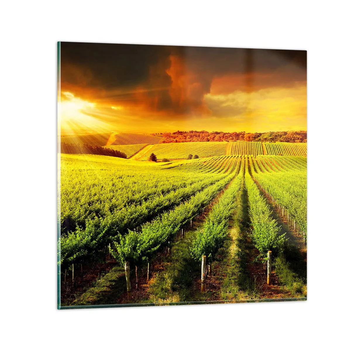 Glasbild - Bild auf glas - Unter der australischen Sonne - 60x60 cm