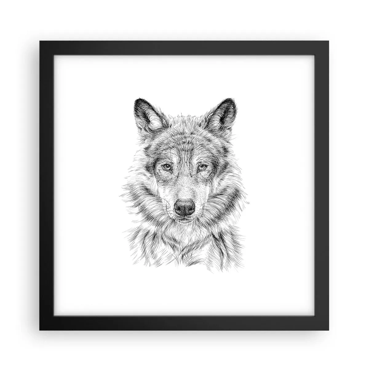 Poster in einem schwarzem Rahmen - Ein geborener Anführer - 30x30 cm