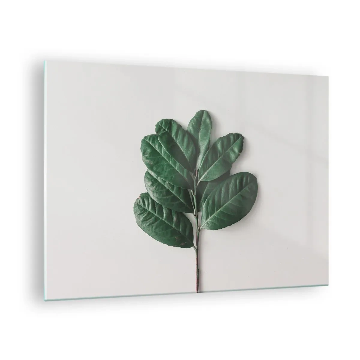 Glasbild - Bild auf glas - Ein Zweig mit grünen Blättern auf hellem Hintergrund - 70x50cm - Eine Zeichnung purer Natur - Moderne Wanddekoration für Wohnzimmer und Schlafzimmer ARTTOR