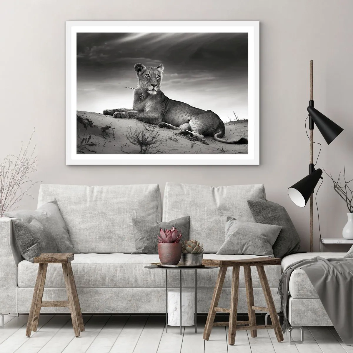 Poster in einem weißen Rahmen - Die Königin der Wüstenruhe - 40x30 cm