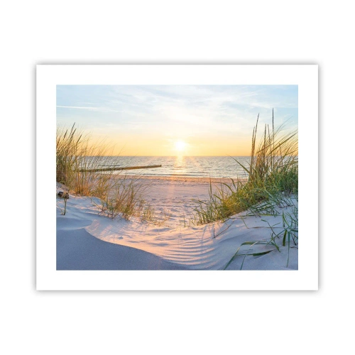 Poster - Das Rauschen des Meeres, der Gesang der Vögel, ein wilder Strand im Gras ... - 50x40 cm