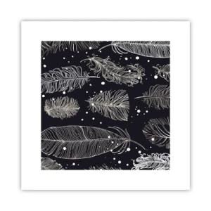 Poster - Gefiederte Spitze - 30x30 cm