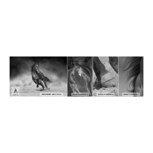 Fototapeten Muster Selbstklebend Deluxe Sticker - Würdig des Emirs selbst - Pferd, Tiere, Natur - 100x30 cm