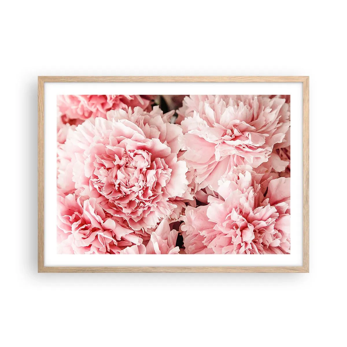 Poster in einem Rahmen aus heller Eiche - Rosa Traum - 70x50 cm