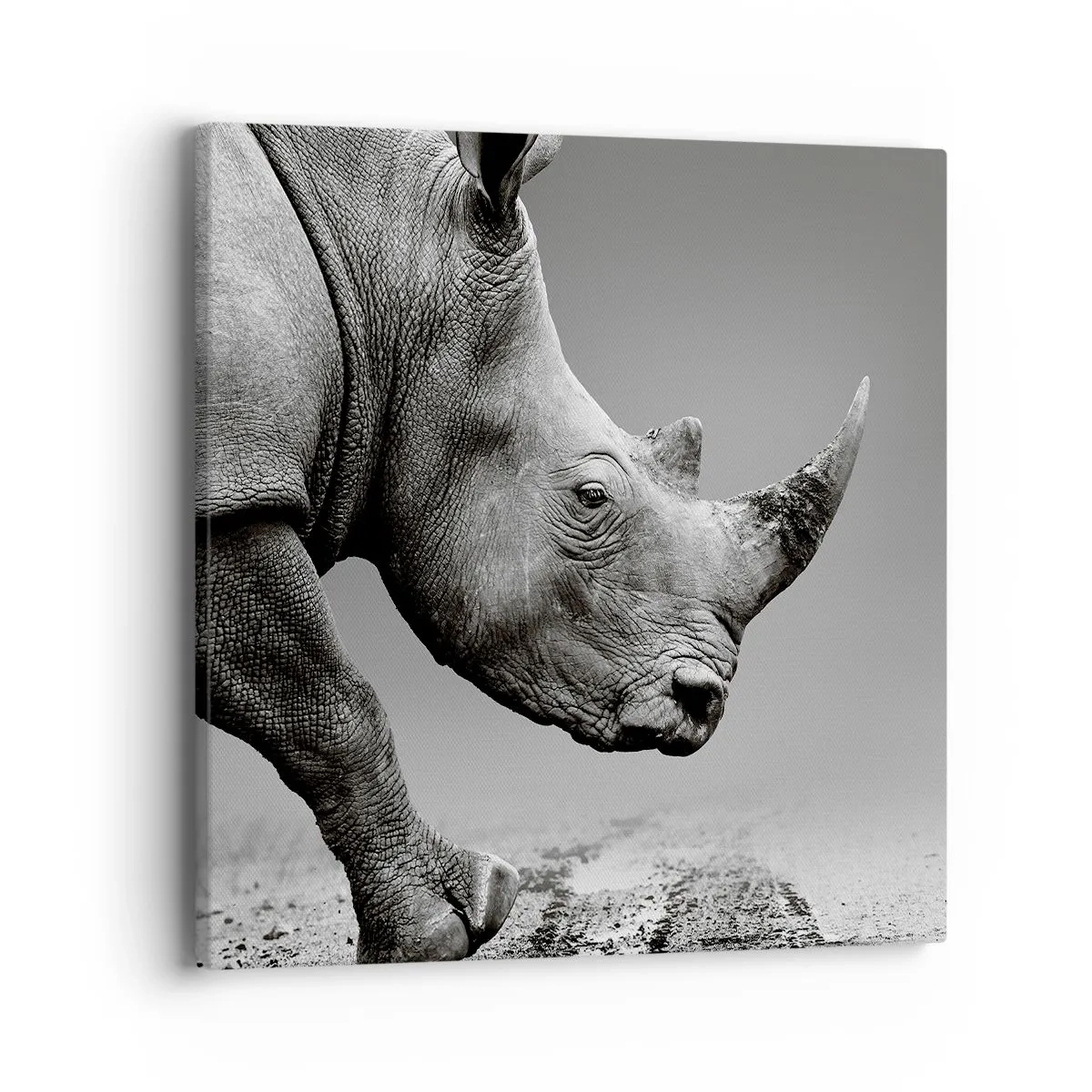 Bild auf Leinwand - Leinwandbild - Unaufhaltsame Stärke - 40x40 cm