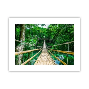 Poster - Monkey Bridge über das Grün - 40x30 cm