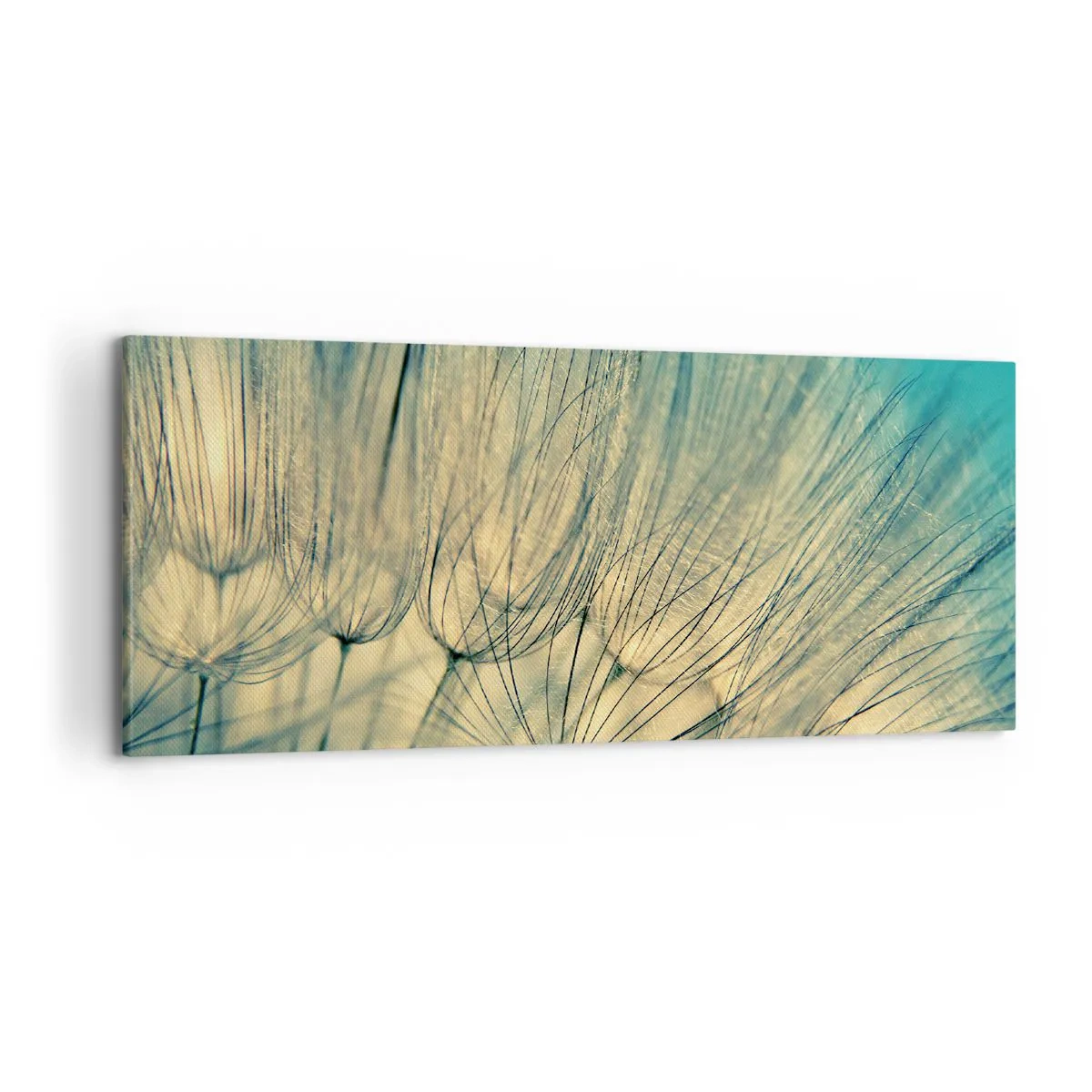 Bild auf Leinwand - Leinwandbild - In Erwartung des Windes - 100x40 cm