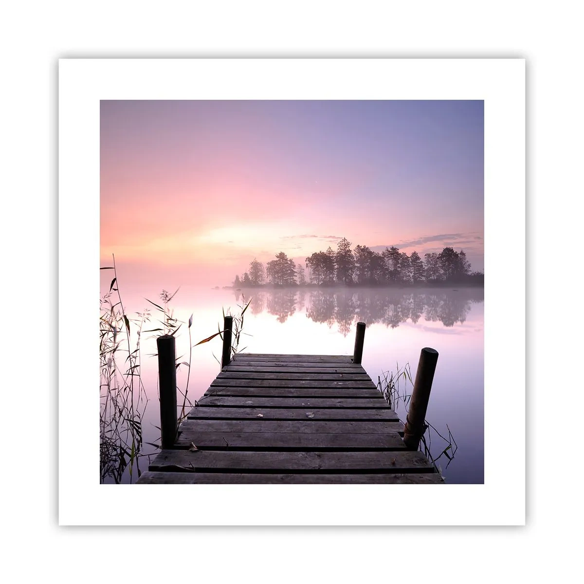 Poster - Aus dem lila Nebel ... - 40x40 cm