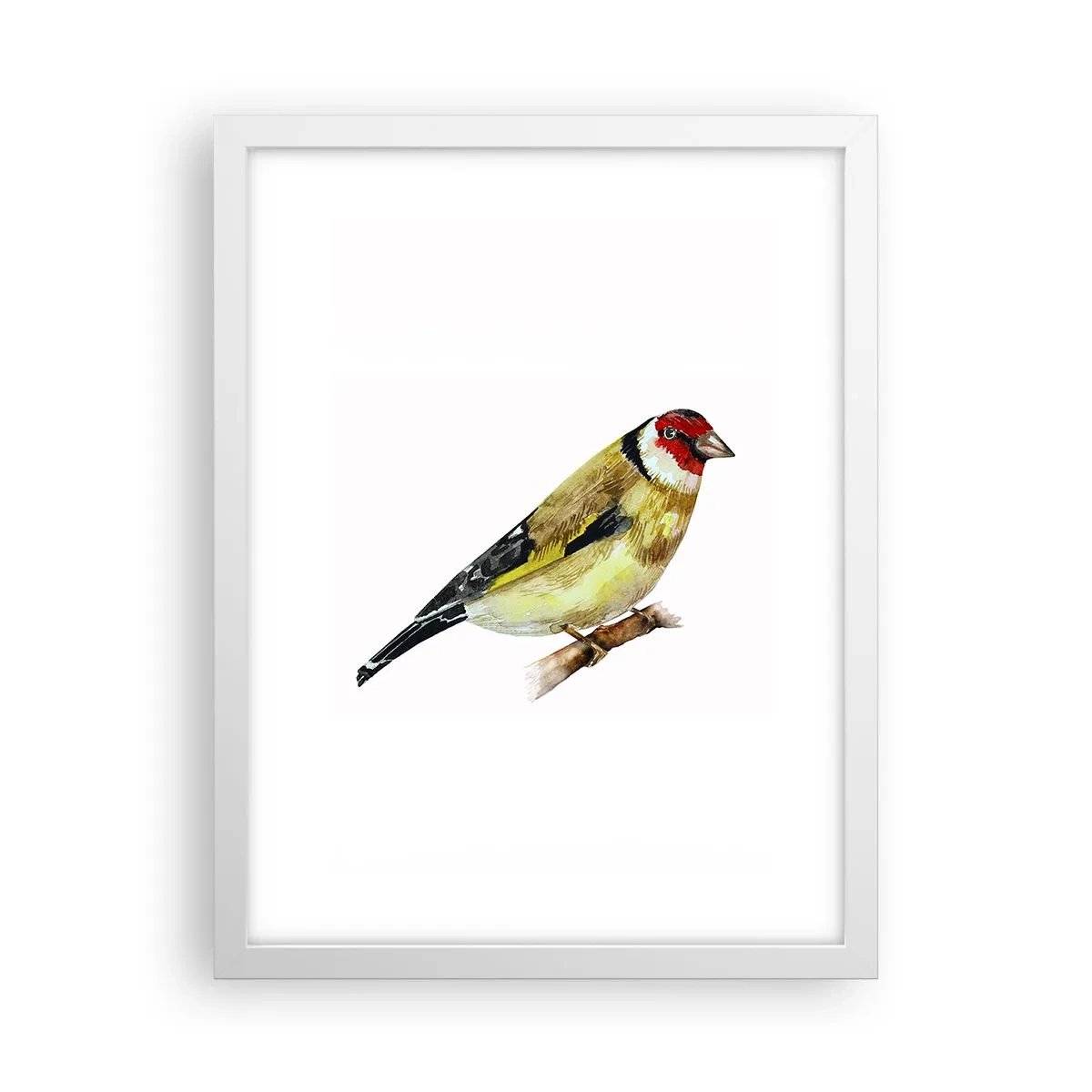 Poster in einem weißen Rahmen - Vogelporträt - 30x40 cm