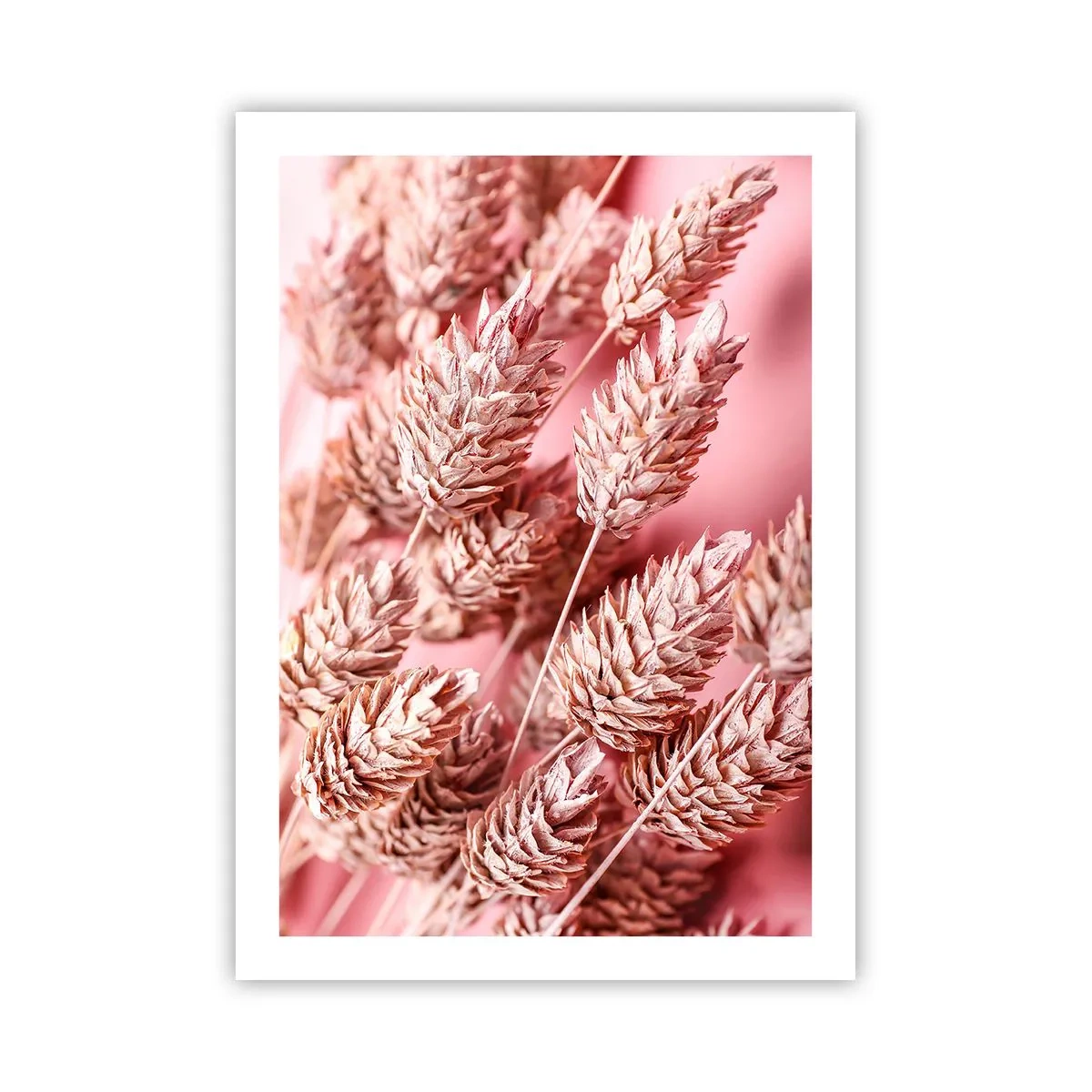 Poster - Nahaufnahme von getrockneten Getreideähren auf rosa Hintergrund - 50x70cm - Eine Blumenkaskade in Rosa - Moderne Wanddekoration für Wohnzimmer und Schlafzimmer ARTTOR