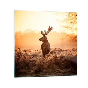 Glasbild - Bild auf glas - Herr im eigenen Land - 40x40 cm