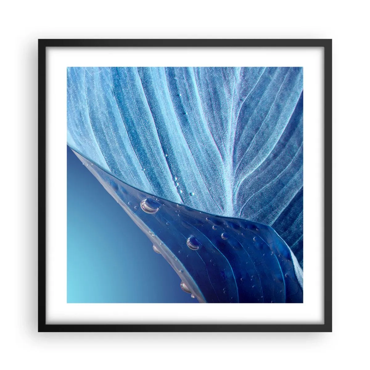 Poster in einem schwarzem Rahmen - Versteckte Tropfen vom Blau - 50x50 cm