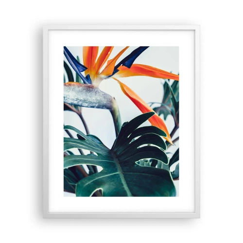 Poster in einem weißen Rahmen - Vogelbusch - 40x50 cm