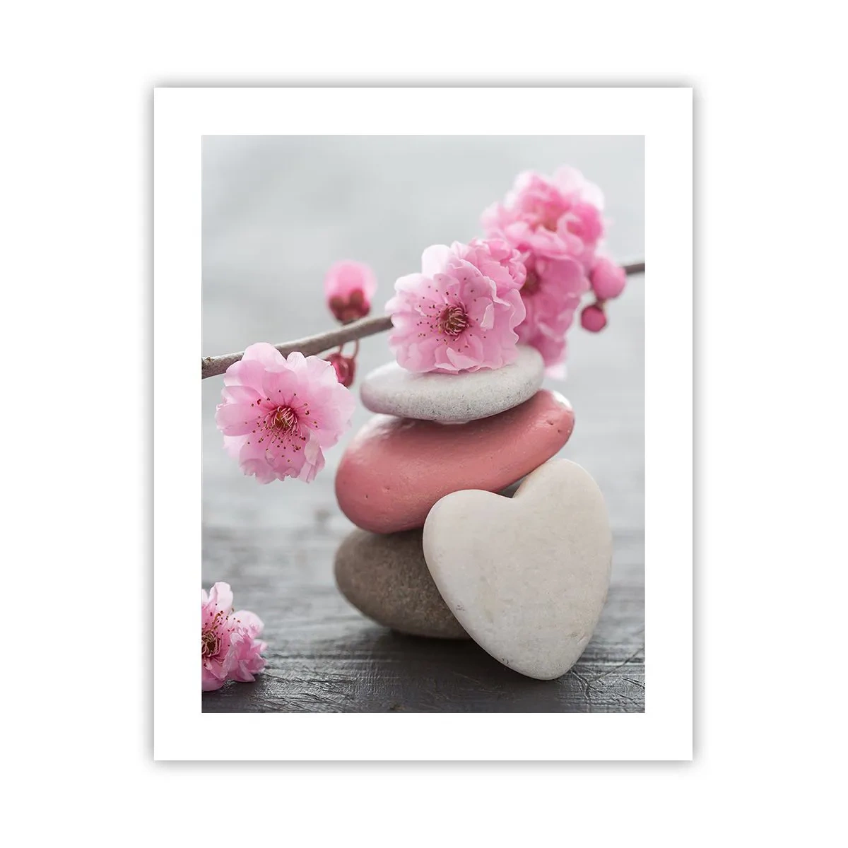 Poster - Glückseligkeit mit einer Kirschblüte - 40x50 cm