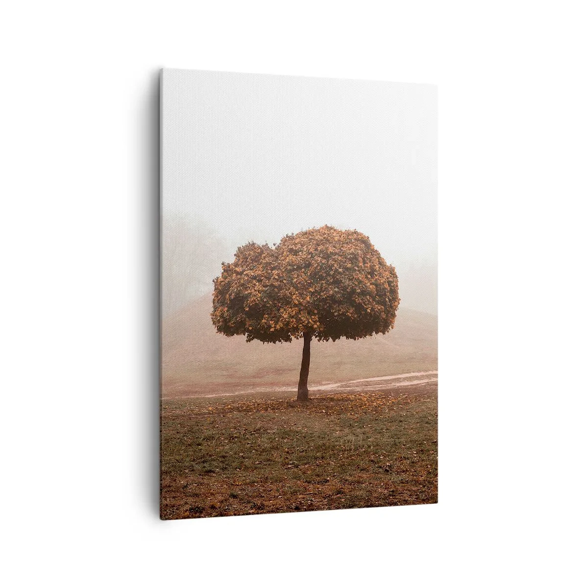 Bild auf Leinwand - Leinwandbild - Nach einem anstrengenden Sommer - 70x100 cm