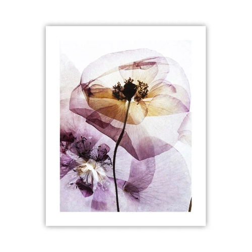 Poster - Transparente Körperblumen - 40x50 cm