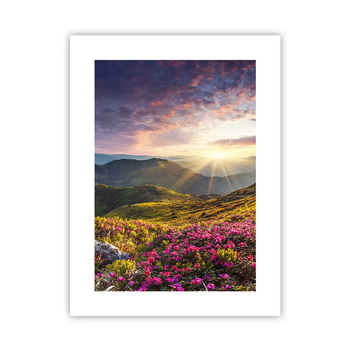 Poster - Frische am Bergmorgen - 30x40 cm