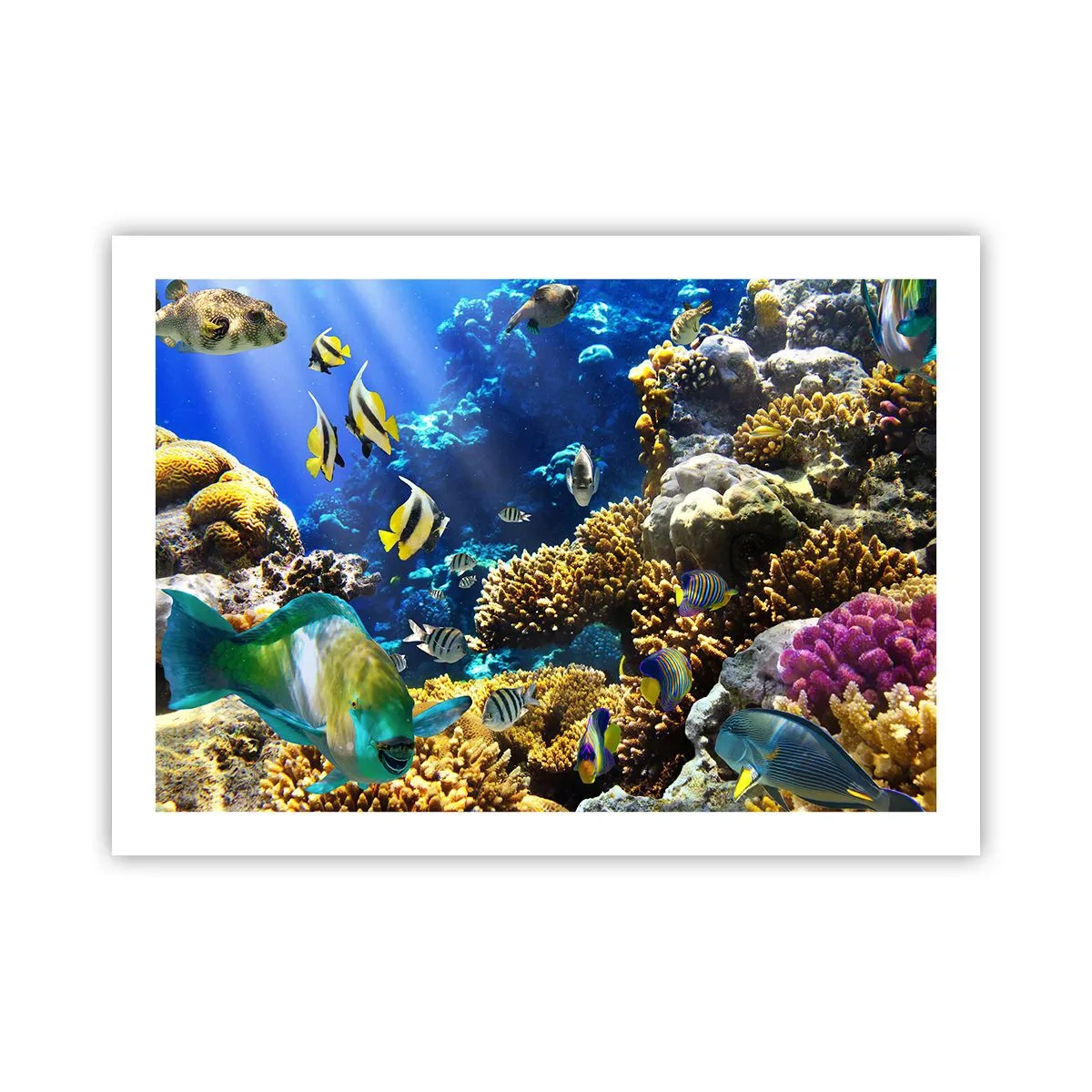 Poster - Viel Verkehr auf dem Ferienweg - 70x50 cm