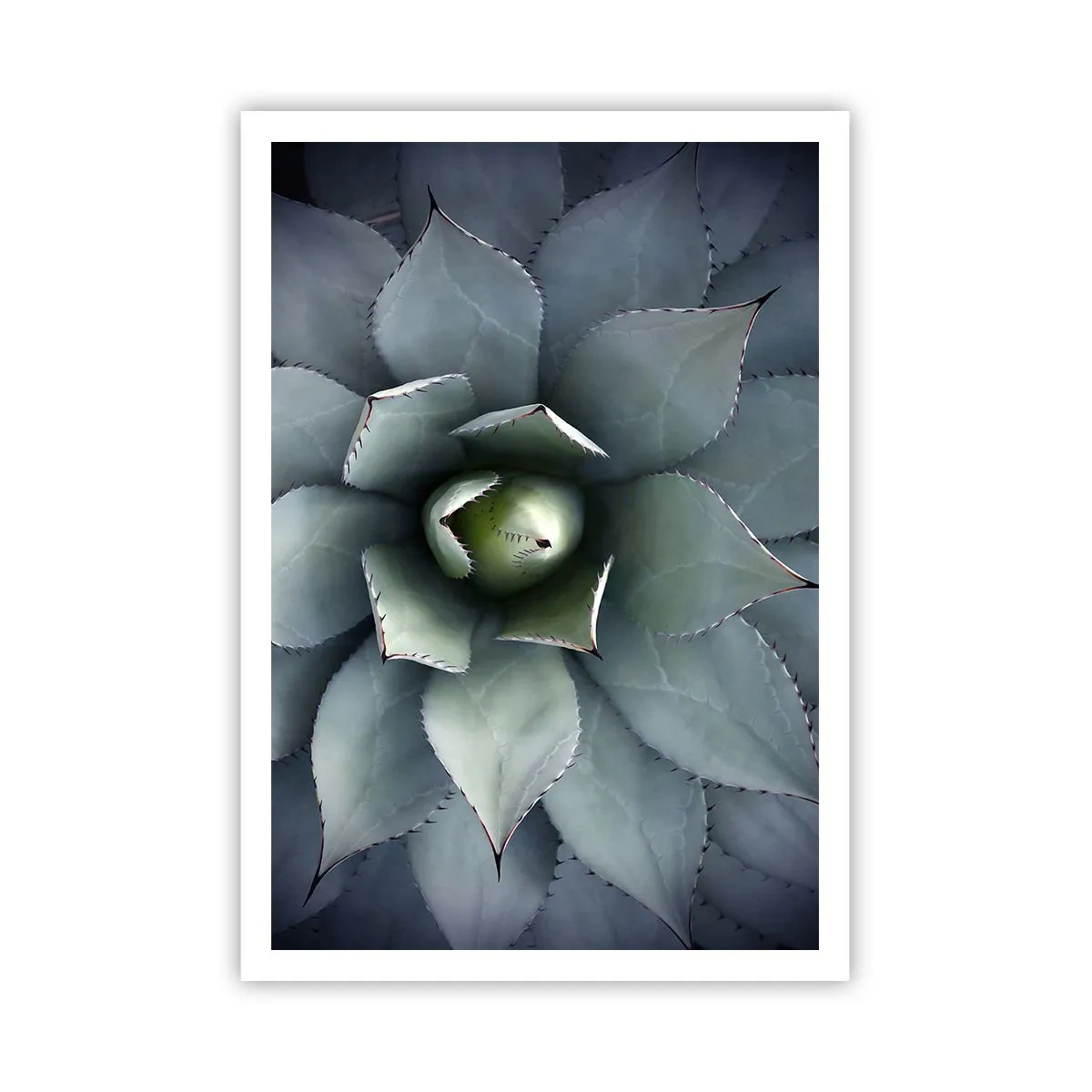 Poster - Es lockt an und warnt - 70x100 cm