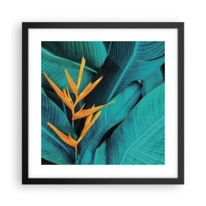 Poster in einem schwarzem Rahmen - Eden-Blume - 40x40 cm