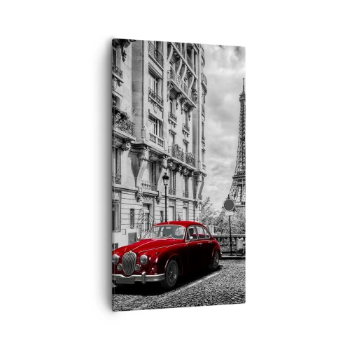 Bild auf Leinwand - Leinwandbild - Raubtier in der Stadt - 55x100 cm