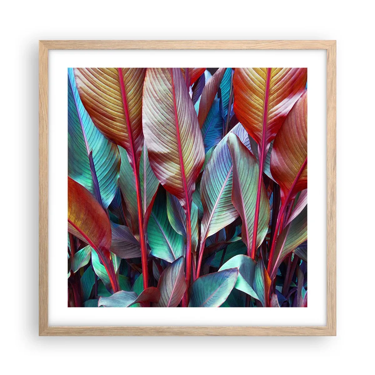 Poster in einem Rahmen aus heller Eiche - Buntes Dickicht - 50x50 cm