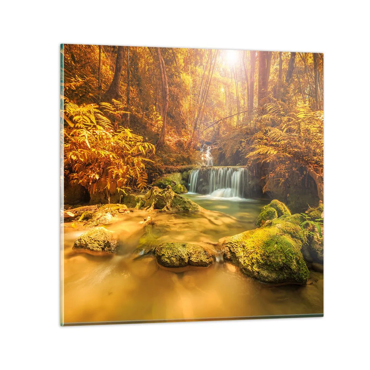Glasbild - Bild auf glas - Waldkaskade in Gold - 70x70 cm