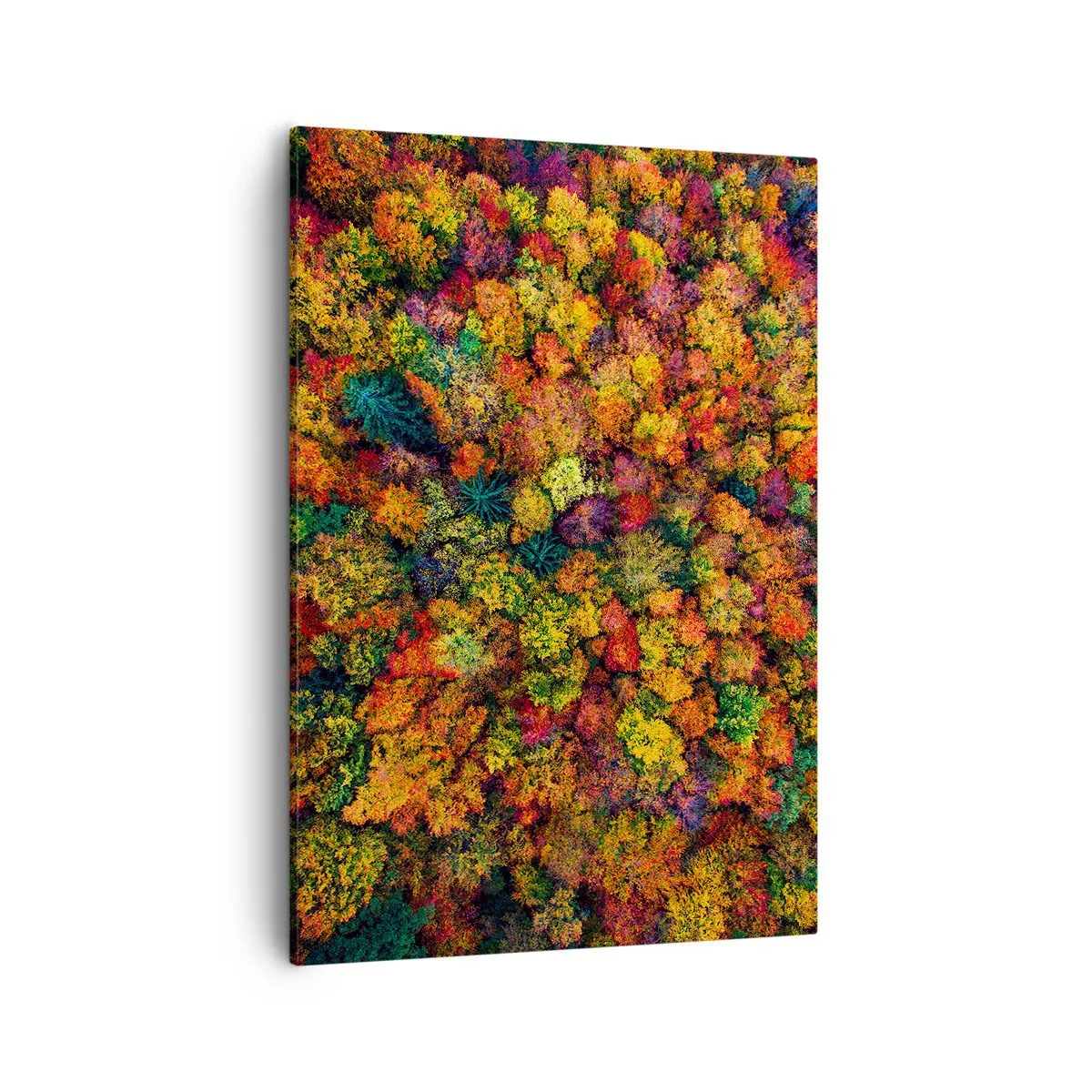 Bild auf Leinwand - Leinwandbild - Bunte Baumkronen in der Herbstpalette - 50x70cm - Blumenstrauß aus Herbstbäumen - Moderne Wanddekoration für Wohnzimmer und Schlafzimmer ARTTOR