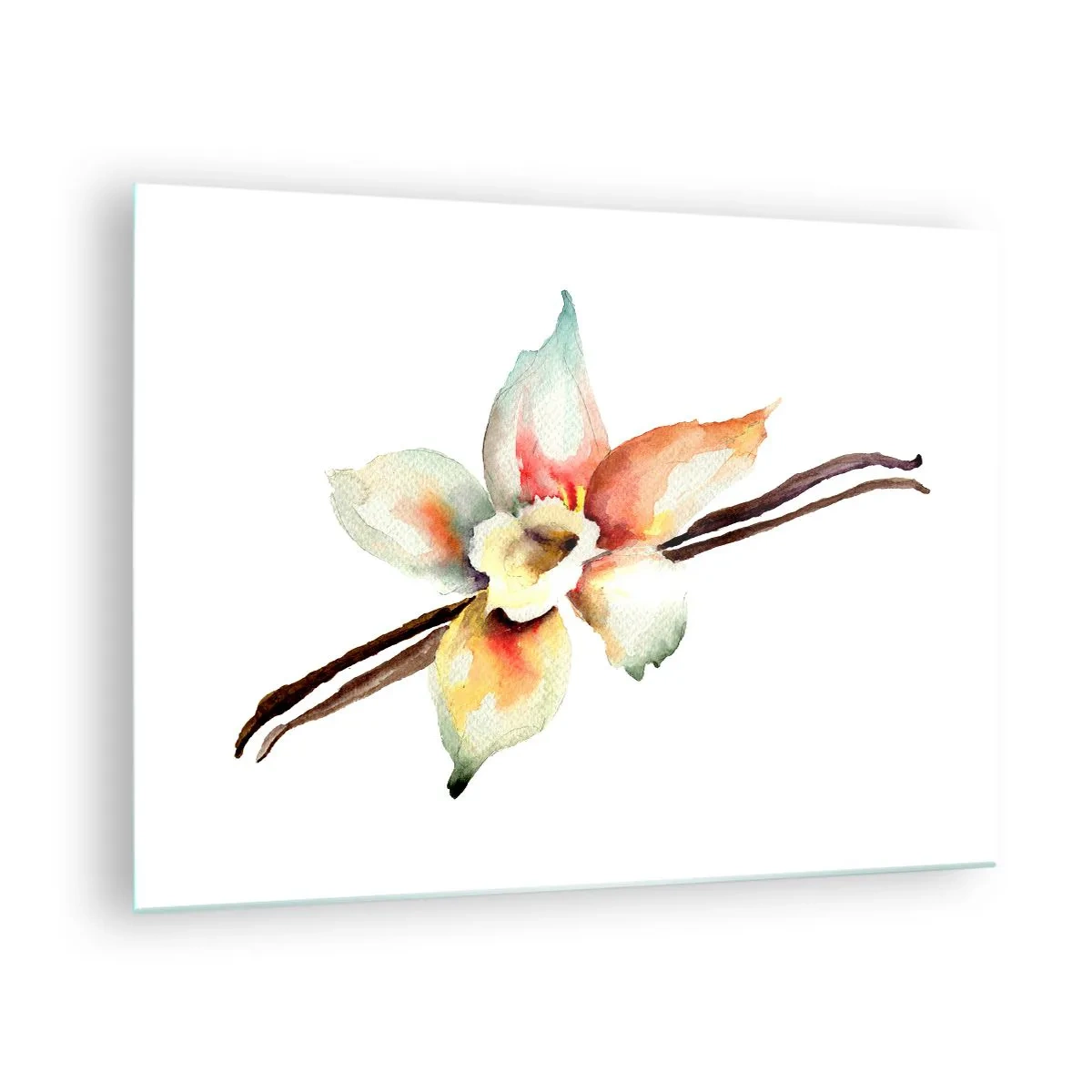 Glasbild - Bild auf glas - Aquarell-Illustration einer Vanilleblüte auf weißem Hintergrund - 70x50cm - Süße mit Farbe verschüttet - Moderne Wanddekoration für Wohnzimmer und Schlafzimmer ARTTOR