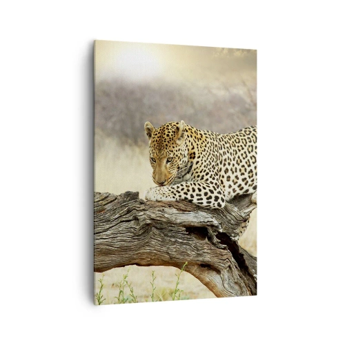 Bild auf Leinwand - Leinwandbild - Ein Leopard ruht auf einem Baumstamm in der Savanne - 70x100cm - Ich gehe meine eigenen Wege - Moderne Wanddekoration für Wohnzimmer und Schlafzimmer ARTTOR