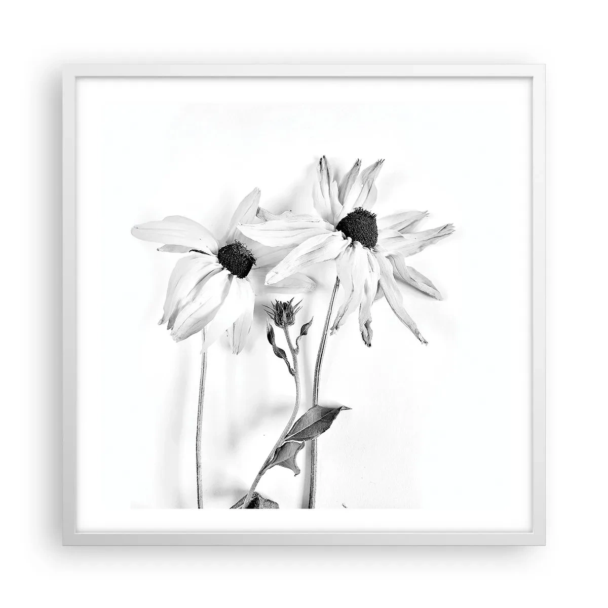 Poster in einem weißen Rahmen - Niemand will allein sein - 60x60 cm