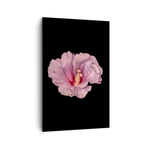 Bild auf Leinwand - Leinwandbild - Rosa Blume auf schwarzem Hintergrund - 80x120cm - Direkt ins Herz - Moderne Wanddekoration für Wohnzimmer und Schlafzimmer ARTTOR