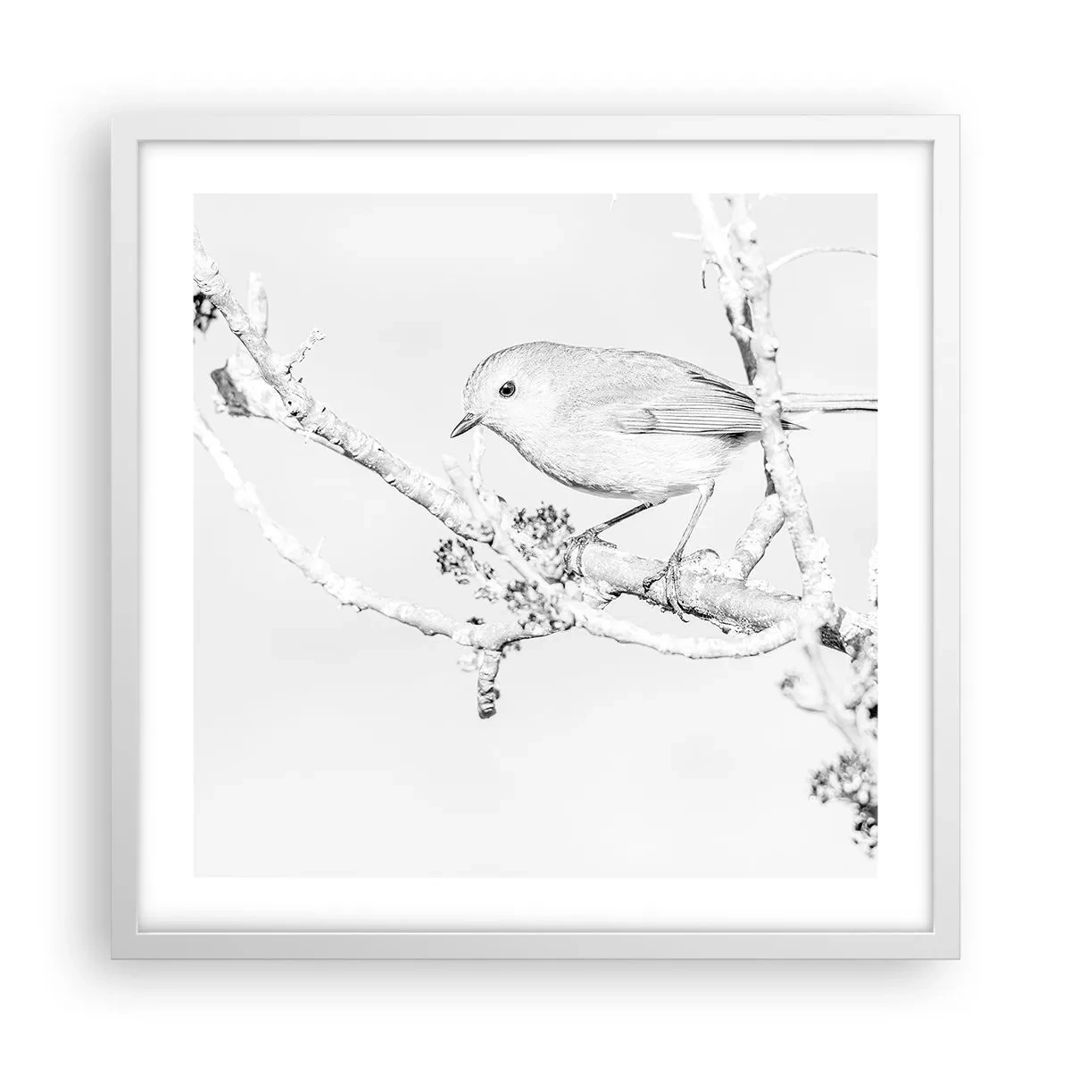 Poster in einem weißen Rahmen - Wintermorgen - 50x50 cm