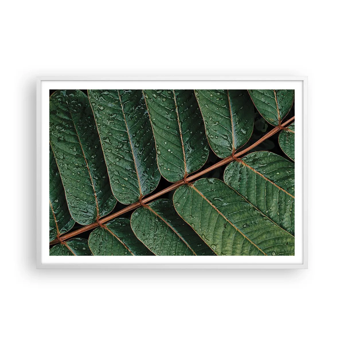 Poster in einem weißen Rahmen - Im grünen Rhythmus - 100x70 cm