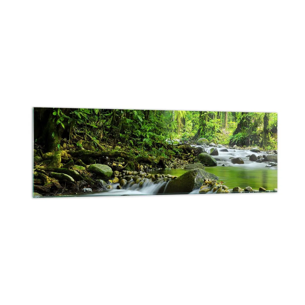 Glasbild - Bild auf glas - Ein Bach in einem üppigen tropischen Wald - 160x50cm - Schwimmen Sie in einem Meer aus Grün - Moderne Wanddekoration für Wohnzimmer und Schlafzimmer ARTTOR