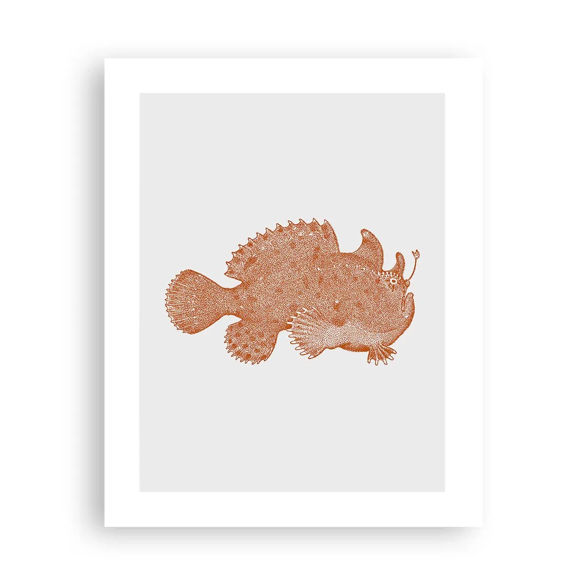 Poster - Es ist also doch ein Fisch - 40x50 cm