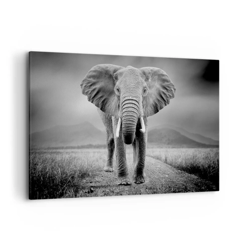 Bild auf Leinwand - Leinwandbild - Ein mächtiger Elefant in der Savanne in monochromen Tönen - 120x80cm - Der Gastgeber heißt willkommen - Moderne Wanddekoration für Wohnzimmer und Schlafzimmer ARTTOR