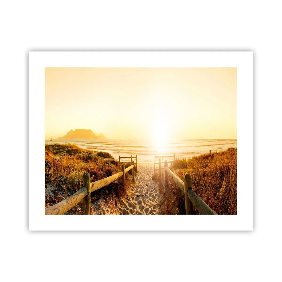 Poster - Über die Düne, der Sonne entgegen - 50x40 cm